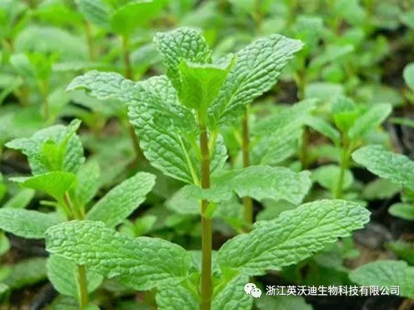 微信图片_20221109103101.jpg