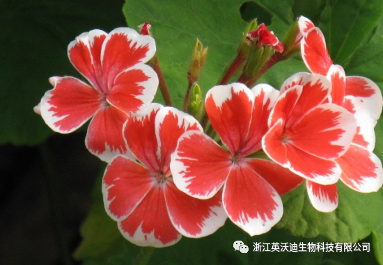 微信图片_20221113122029.png